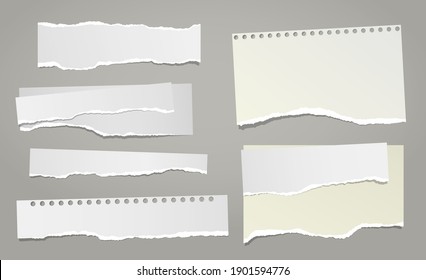 Set of torn white note, notebook paper pieces stuck on grey background. Vector illustration