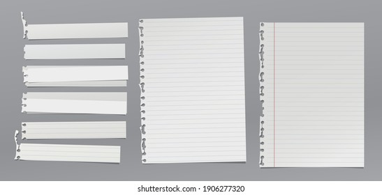 Set of torn white note, notebook paper pieces stuck on grey background. Vector illustration