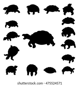 Set tortoise silhouette isolated on white background
