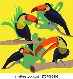 set of toucan birds and palm leaves