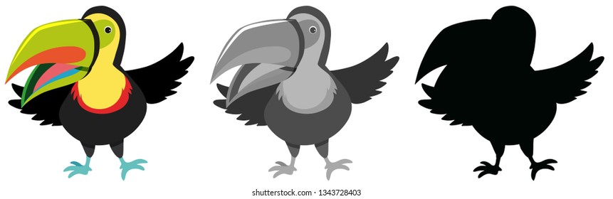 Set of toucan character illustration