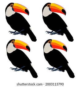 Set of the toucan an outline for colouring with cartoon eyes