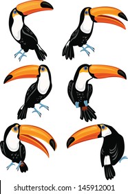 Set of toucans