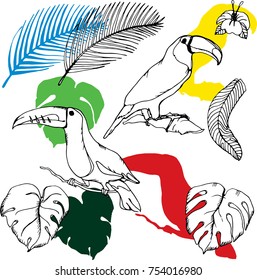 Set with Toucans and exotic leaves. Colorful illustration. Jungle  pattern.