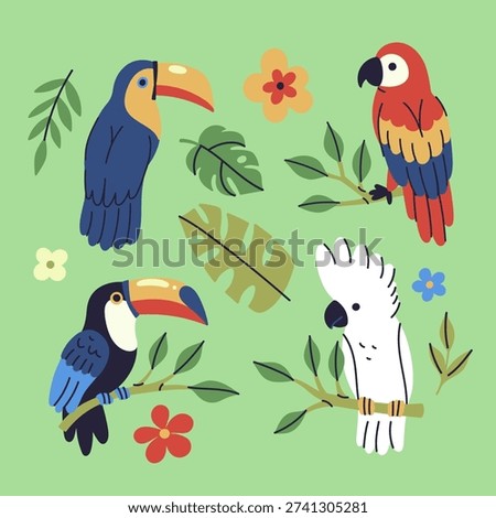 Set of toucans, parrots, and tropical leaves. Vector graphics.