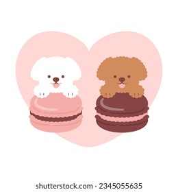 a set of Toy Poodles and macarons for banners, cards, flyers, social media wallpapers, etc.