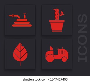 Set Tractor, Garden hose or fire hose, Cactus and succulent in pot and Leaf icon. Vector