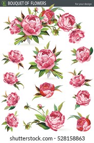 Set of traditional flowers and decorative elements, big vector collection. Pink Peonies flower bouquet. No transparency and shadows