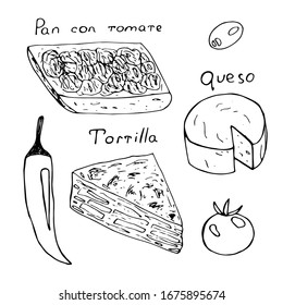 Set of traditional Spanish tapas and spices, tomato sandwich, tortilla, cheese, olive, chili pepper and tomato, vector illustration, hand drawing