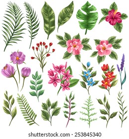 Set of traditional and tropical flowers and leaves