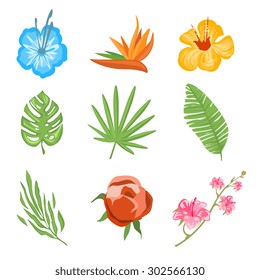 Set of traditional and tropical flowers and leaves