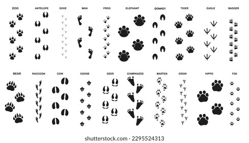 Set of trails for animals and birds with the name. ESP 10.