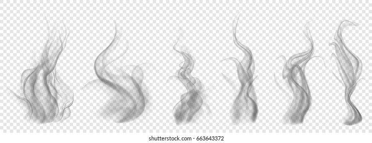 Set of translucent gray smoke on transparent background. For used on light backgrounds. Transparency only in vector format