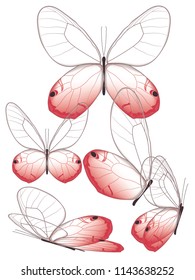Set of transparent butterflies. Vector eps10. 