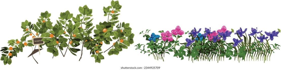 Set of Transparent Flower Plant Art, Stunning Cut-Out Flower Plant Images transparency backgrounds for illustration, digital composition and architecture visualization