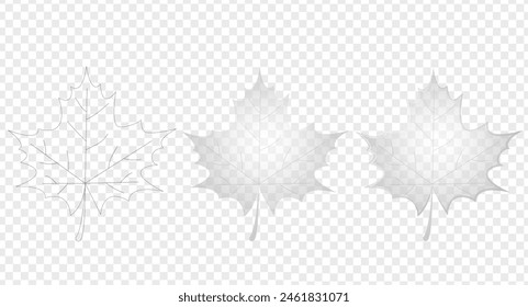 Set transparent maple leaf. An idea for a fashion illustrations, magazines, printing on clothes, advertising, coloring books. Vector Canadian maple leaf icon. Autumn leaf vector illustration.
