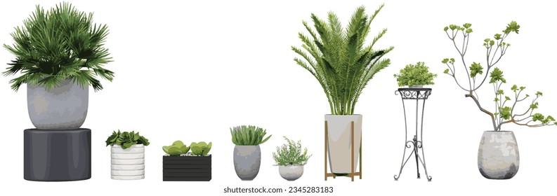 Conjunto de plantas transparentes, arte de plantas de cactus, imágenes de planta de corte asombrosas de fondo de transparencia para ilustración, composición digital y visualización de arquitectura