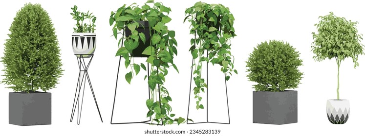 Set of Transparent Plant Kingdom, Beautiful Cut-Out Plant Photos, Stunning Cut-Out Plant Images transparency backgrounds for illustration, digital composition and architecture visualization