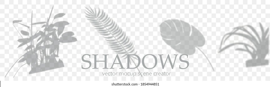 Conjunto de efectos de sombra transparentes para la marca. Mockups en formato A4. Escenas de luz natural. Ilustración vectorial fotorealista. Hojas de la monstera, ramas de palmera y marcos de ventana dominan las sombras