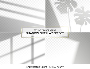 Set of transparent shadow overlay effects for branding. A4 format Mockups. Scenes of natural lighting. Photo-realistic vector illustration. The monstera leaves and window frames overlays shadows