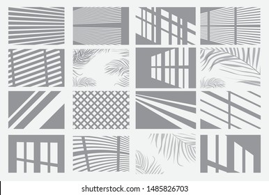 Set of Transparent Shadow Overlay Effects. Vector Illustration. Window Frames, Palm Tree and Blind.
