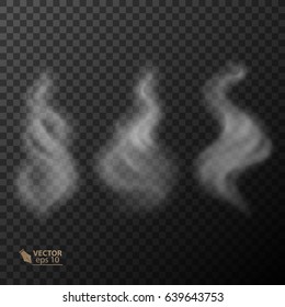 Set Of Transparent Smoke On Dark Background. Vector 10_eps