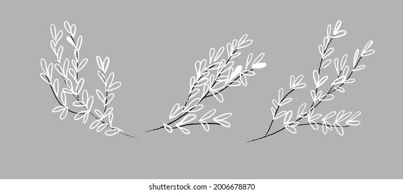 A set of transparent twigs, with white leaves. For the design of invitations, postcards, posters.