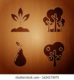 Set Tree with apple, Plant, Pear and Trees on wooden background. Vector