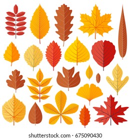 Set Of Tree Autumn Leaves Isolated On The White. Cartoon Vector Illustration. 