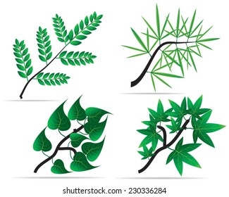 Set tree branch with green leaves