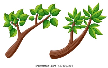 Set of tree branch illustration