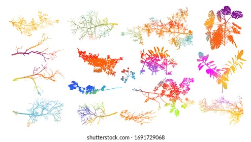 Set of tree branches with colorful leaves. Mixed media. Vector illustration
