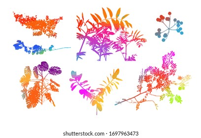 Eine Reihe von Baumzweigen mit bunten Blättern. Gemischte Medien. Vektorillustration