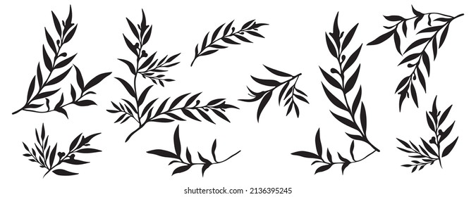 Set of tree branches, eucalyptus, leaves, herbs and flowers silhouettes