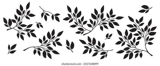 Set of tree branches, eucalyptus, leaves, herbs and flowers silhouettes.