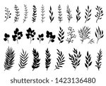 Set of tree branches, eucalyptus, palm leaves, herbs and flowers silhouettes