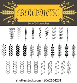 Set of tree branches, eucalyptus, palm leaves, herbs and flowers silhouettes