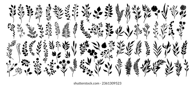 Set of tree branches, eucalyptus, palm leaves, herbs and flowers silhouettes.