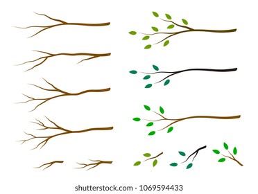 set of tree branches with green leaves