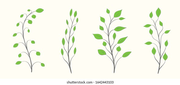 Set of tree branches with green leaves, different sizes and shapes