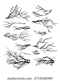 Un conjunto de ramas de árbol. dibujo a mano. No es Ilustración vectorial de IA