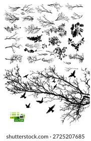 A set of tree branches . hand drawing. Not AI Vector illustration