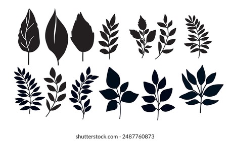 Set of tree branches icon, vector silhouette  botanical elements,black and white leaves. 