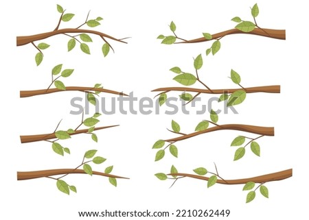 Set tree branches. Illustration of a tree branch 