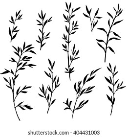 set of tree branches with leaves, bamboo shoots,isolated hand drawn vector elements