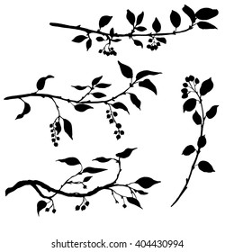 set of tree branches with leaves and berries,fruit trees twigs,isolated hand drawn vector elements