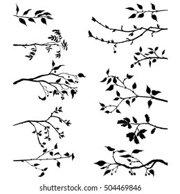 set of tree branches with leaves and berries,fruit trees twigs,isolated hand drawn vector elements