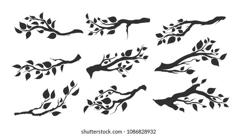 set of tree branches with leaves isolated