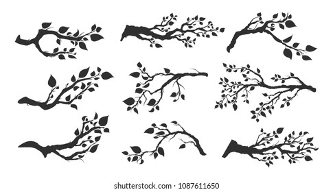 set of tree branches with leaves isolated