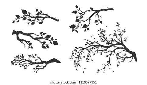 set of tree branches with leaves isolated